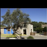 37980 071 044 Kloster Santuari de Lluc, Mallorca 2019.JPG